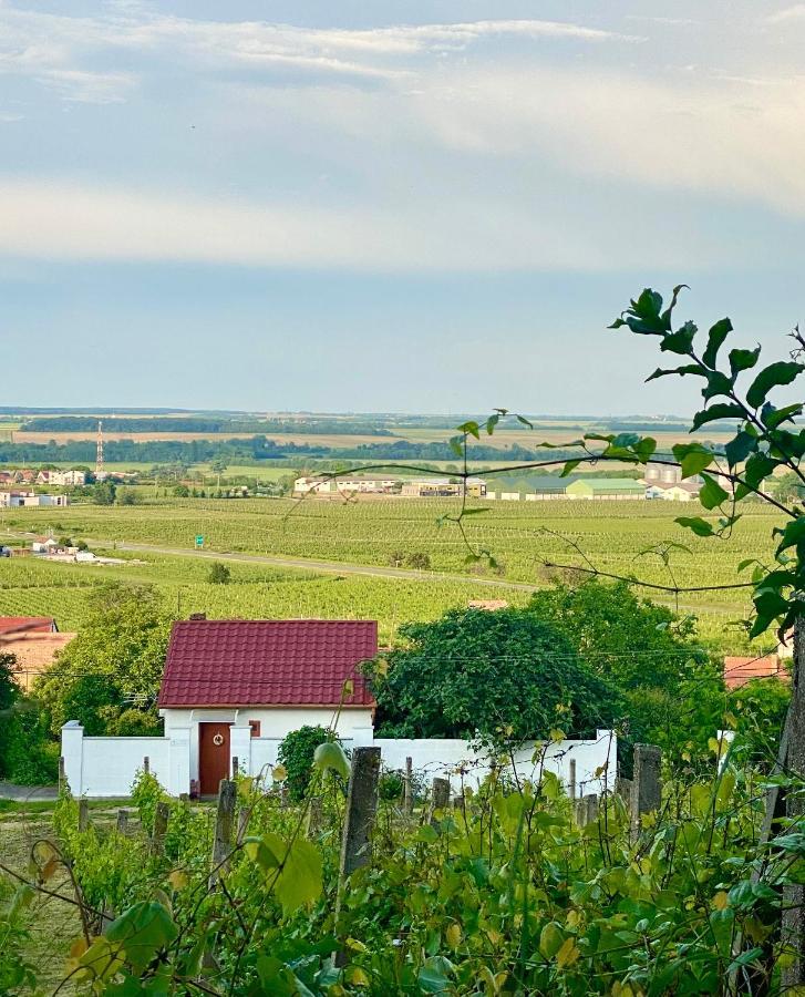 Hotel Boraszporta - Preshaz Villány Zewnętrze zdjęcie